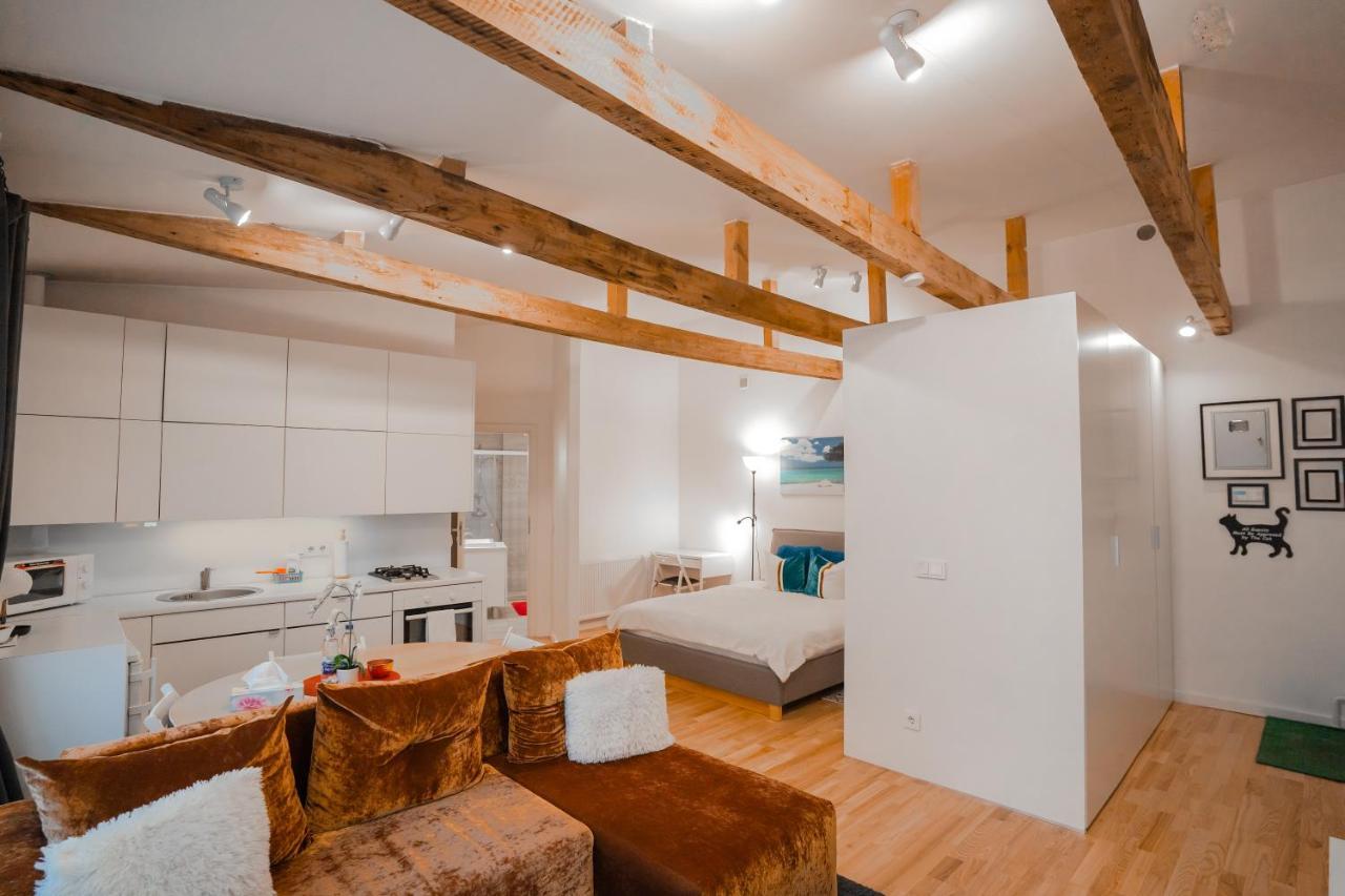 Alpetri Apartments Kaunas Kültér fotó