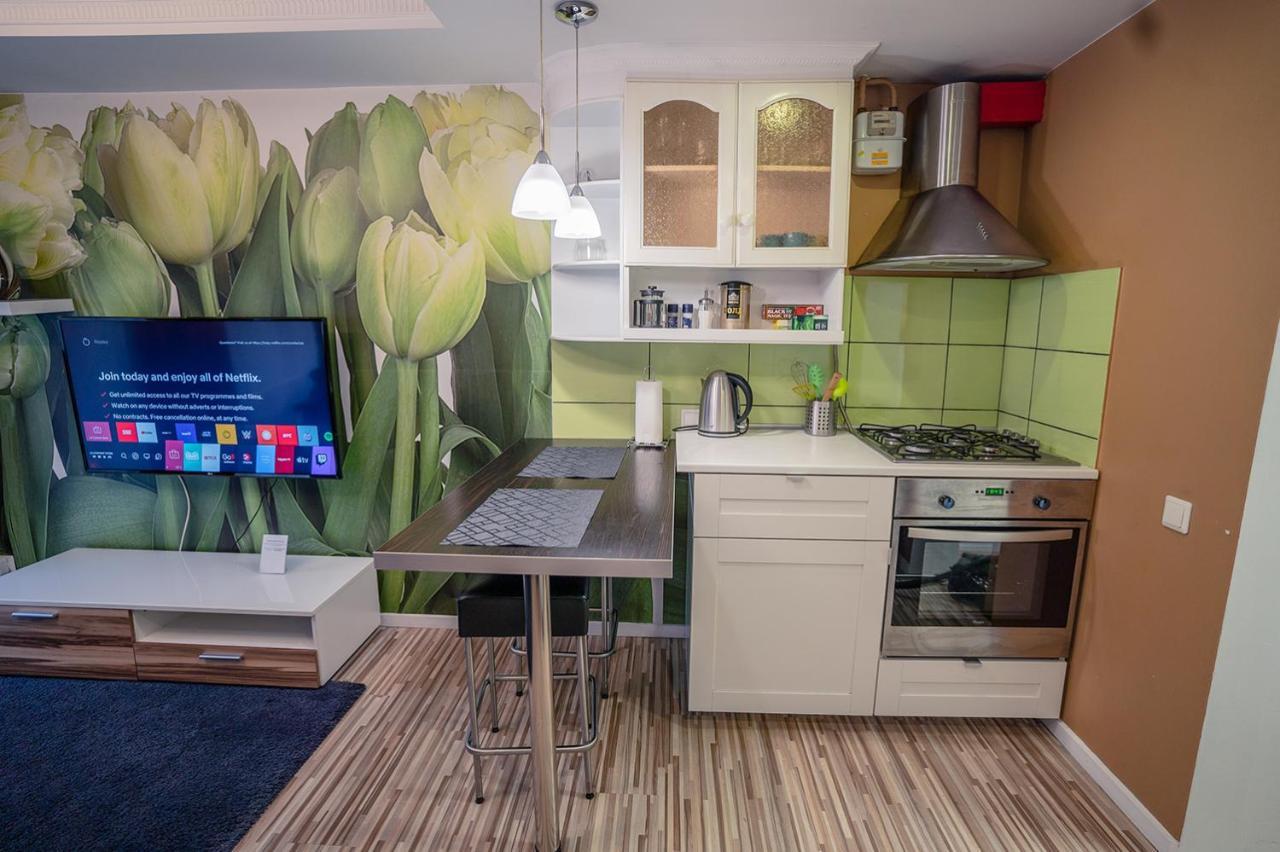 Alpetri Apartments Kaunas Kültér fotó